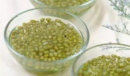 在线观看绿豆,轻松掌握绿色健康生活